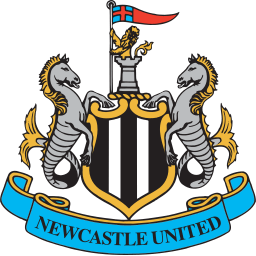 Newcastle Image