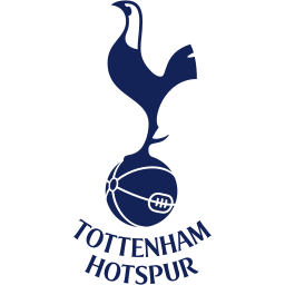 Tottenham Image