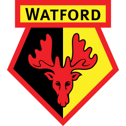 Watford Image