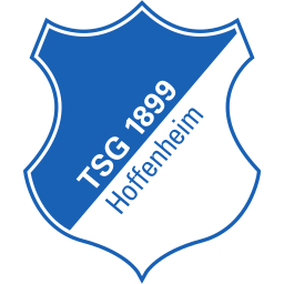 Hoffenheim Image
