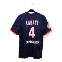 2013/14 - PSG - Cabaye #4 (L)