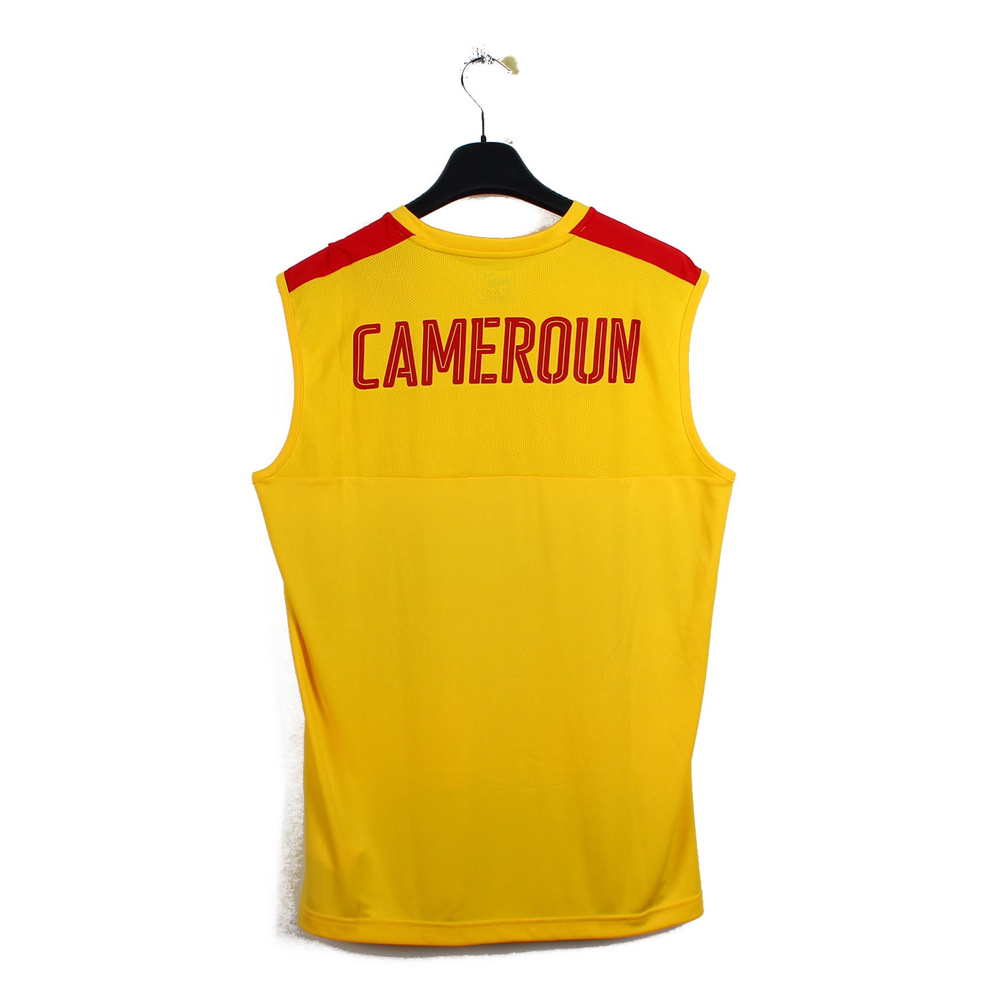 2017 - Cameroun (L)