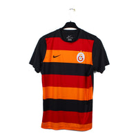 2013/14 - Galatasaray (S)
