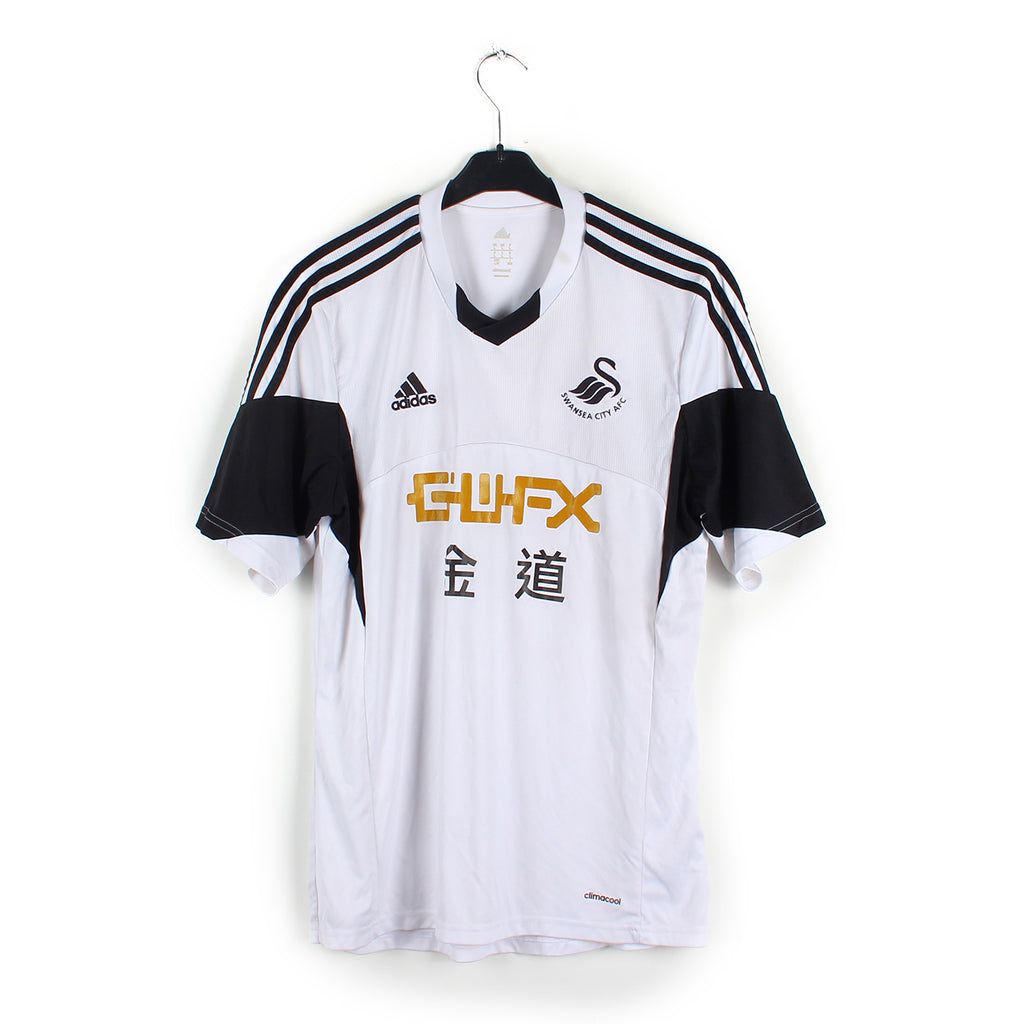 2013/14 - Swansea (L)