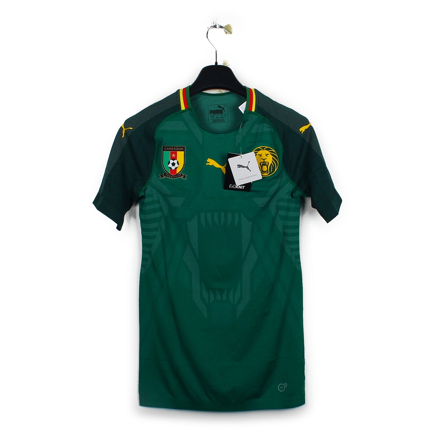 2018 - Cameroun (M) [stock pro]