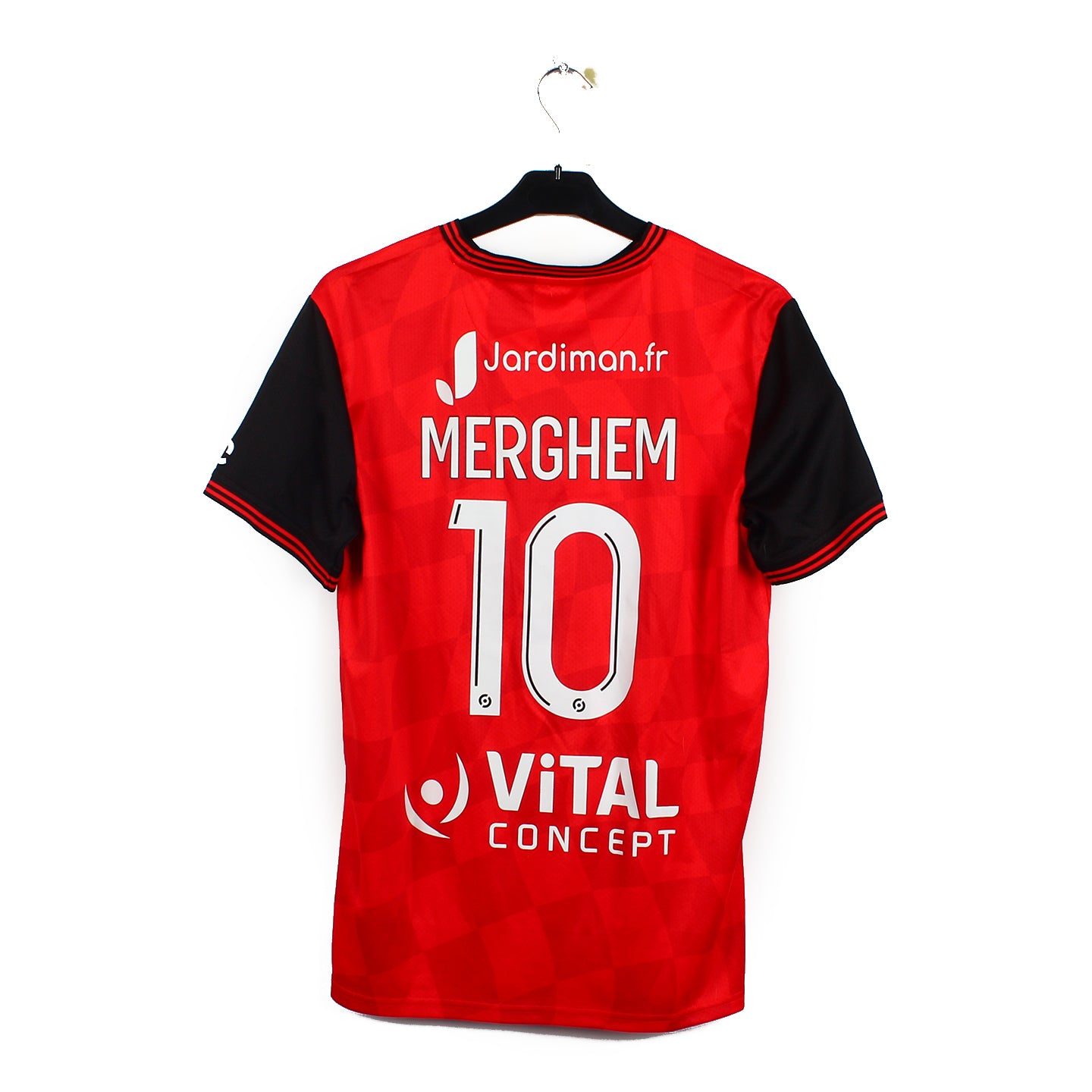 En Avant Guingamp. Palmarès, maillot, stade du Roudourou, historique En Avant Guingamp. Palmarès, maillot, stade du Roudourou, historique