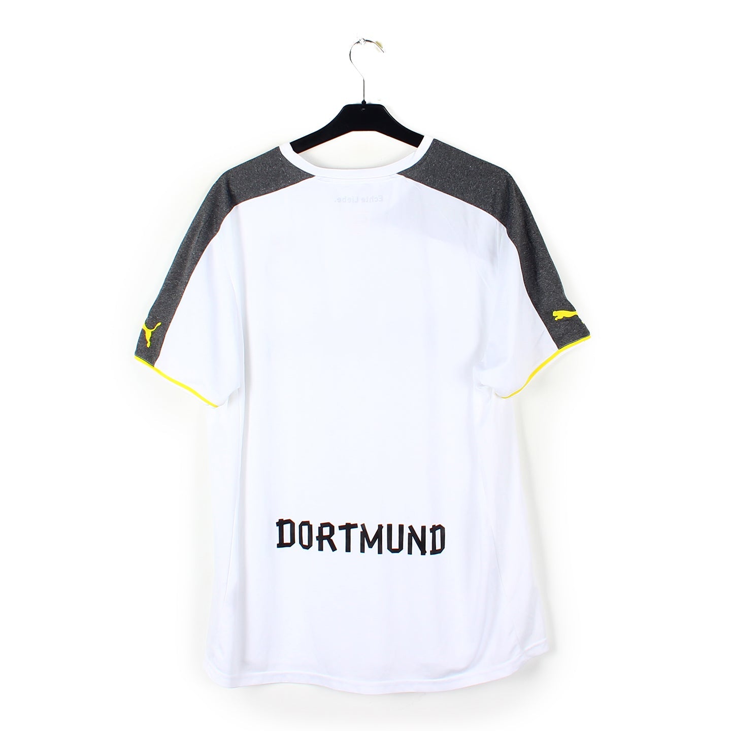 2013/14 - Dortmund (L)