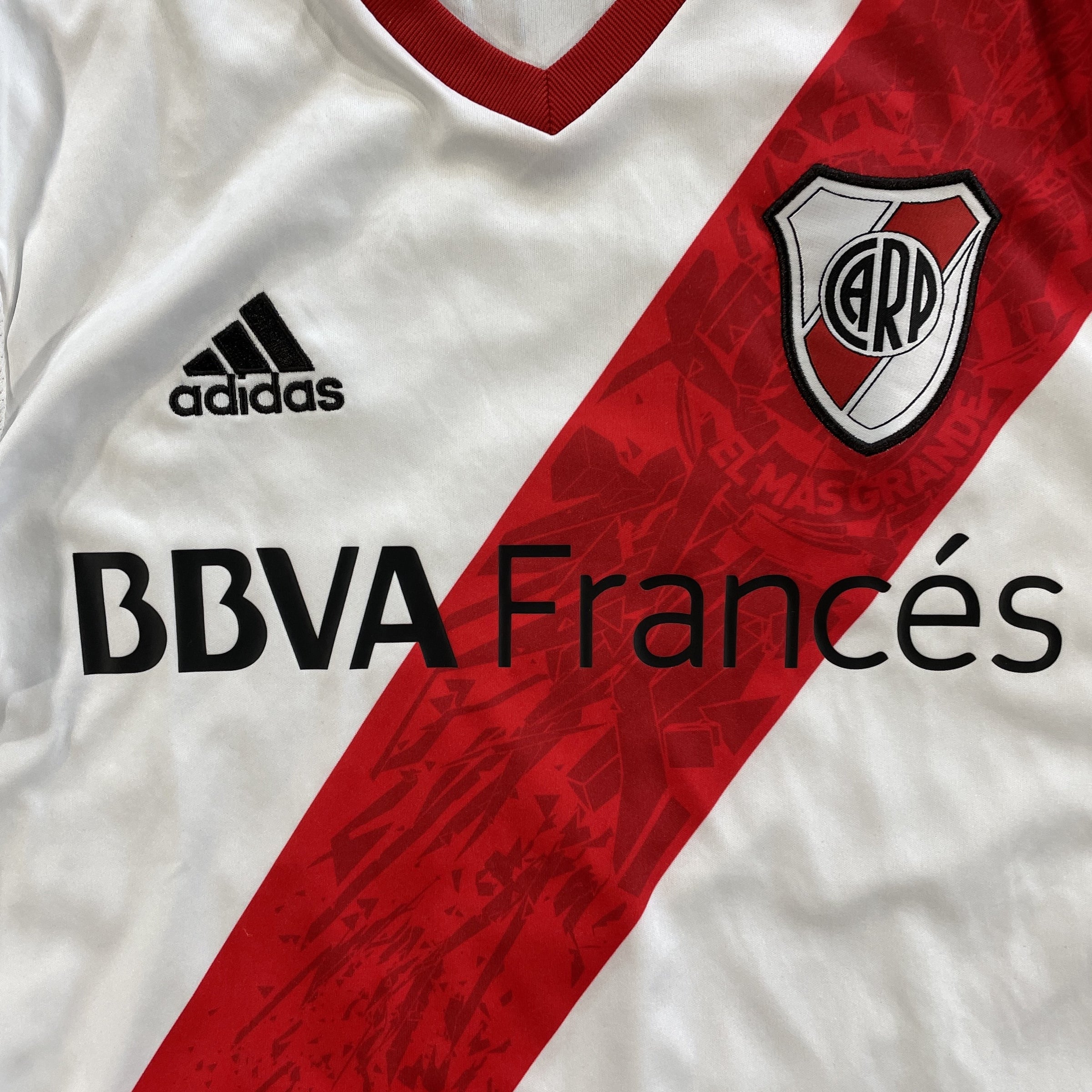 2013/14 - River Plate (S)