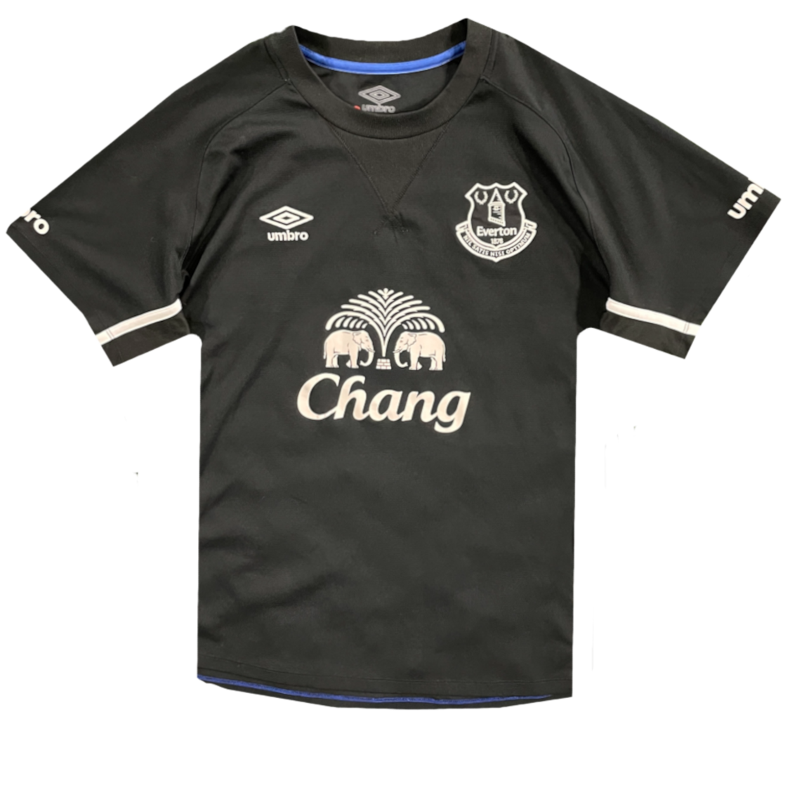 2014/15 - Everton FC (L)