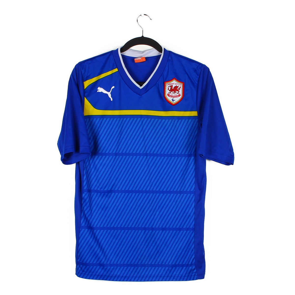 2012/13 - Cardiff City FC (M)