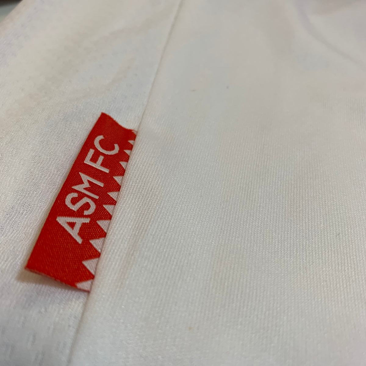 2013/14 - AS Monaco (S)